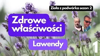 Lawenda - Niezwykły Kwiat, Niezliczone Korzyści