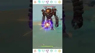 Shogun Raiden Elemental Burst Ruin Guard [Genshin Impact]