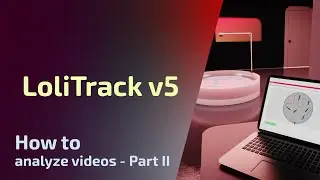 LoliTrack v5 - 2D Tracking - How to analyze videos - Part II