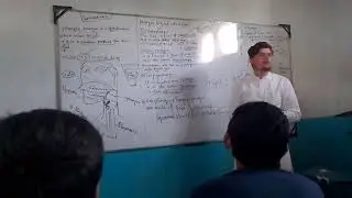 #pharynx detail discussion .