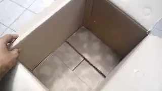 Baby Parrot Little Home safe and secure