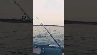 СУДАК. ГДЕ? КОГДА? НА ЧТО?