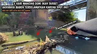 BUTUH 3 HARI UNTUK SEBUAH IKAN TARGET!! Mancing wader dan melem pakai teknik kumbul diberbagai spot