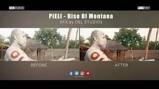 Pieli VFX comparison -Filmed on Sony FX 100