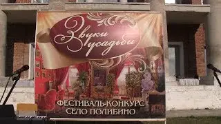Фестиваль Звуки усадьбы в селе Полибино Данковского района