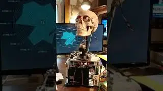Robotic Animatronic Neck, Eyes, Integrating Movements