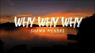 Shawn Mendes - Why Why Why | Lyric video
