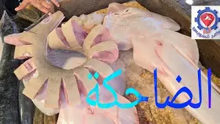 @ السمكة الضاحكة وتنوع متميز وأسعار مناسبة عند خالد بالممر الشعبي بسوق السمك بالأنصاري بالسويس.