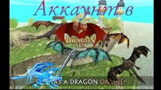 Аккаунт в dragon sim