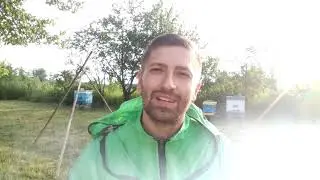 Как посадить рой в улей