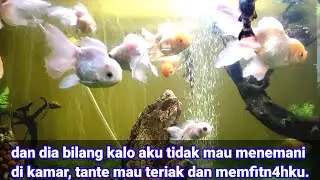 KISAH NYATA ‼️HARUSKAH KU L4YANI TANTE ITU