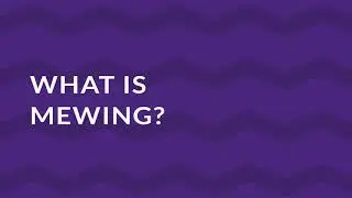 Disclaimer and Title | Vibrant Colors | Channel Rebranding