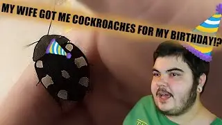 MY WIFE GOT ME COCKROACHES FOR MY BIRTHDAY!? // I Got Domino Roaches and Milkback Isopods!!!