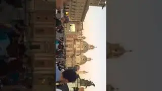My Periscope collections