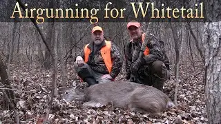 Airgun hunting for Whitetail deer 2019