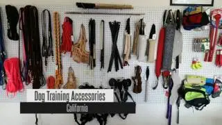 Genuine Dog Gear