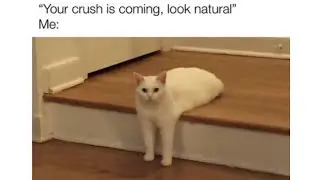Spicy memes #262