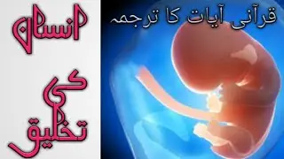 insan ki takhleeq,human stars,islamic knowledge factory 1,islamic bayan from pakpattan sharif