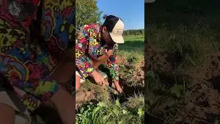 295 эпизод раскопок / Гравитс Флюоритус