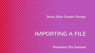 PremierePro: Importing A File