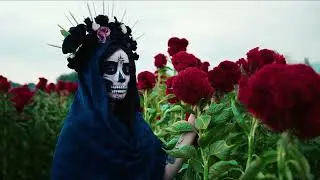 DAY OF THE DEAD