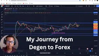 my journey from degen to forex