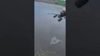 Щука на воблер bearking. #fishing #bearking #рыбалка #твиччинг