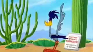meep meep!