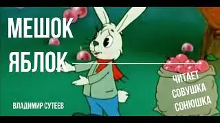 Мешок яблок