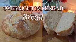 The easiest bread recipe | Overnight NO-KNEAD artisan bread