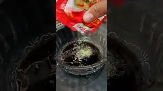 Dori saus tiram pedas #temenngoding #ikandori #dori #asmr #resepsimple