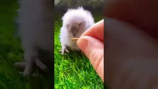 У нас первый малыш☺️ 