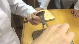 Таня Кілер