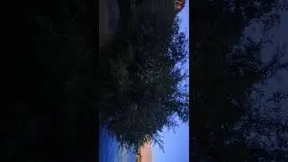 Мерем овбози ???