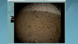 NASA’s InSight landed on Mars!