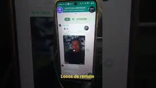 solo gremio