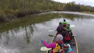 Salmon Tours on the Shuswap River with Elements Adventure Company