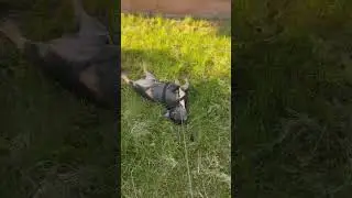 У Потапыча жизнь удалась!!!