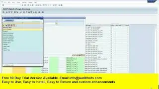 SAP ECC Upgrade-Custom objects in SAP software