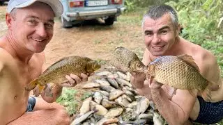 КАРАСІ ЯКІ ЧУТЬ РУКИ НЕ ПОВИВЕРТАЛИ, ЗАЛИВИ ПСЛА КИШАТЬ КРУПНИМ КАРАСЕМ