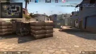 Scout 4k