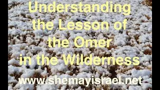 Understanding the Lesson of the Omer in the Wilderness