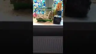 13 сентября 2020 г.