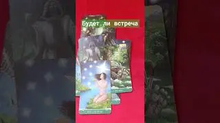 БУДЕТ ЛИ ВСТРЕЧА 