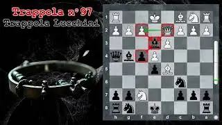 Trappole in Apertura 97 - Trappola Lucchini - Partita Italiana - Gambetto Lucchini Giuoco Pianissimo