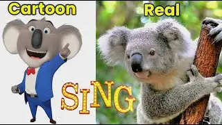 Sing 2 All Characters IN REAL LIFE 💥