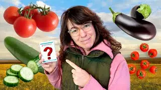 Veggie 🌻 Johnny's Seeds Unboxing | Everything I Know About Tomato, Cucumber and Eggplant Seeds