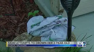 mom Attempts to Drown Her 2-Year-Old