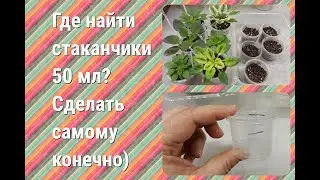 Делаем стаканчики 50 мл для мини фиалок и для посева мелких семян.