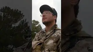 Bull elk comes running into cow call #elk #hunting #nature #bowhunter #huntinggame #wildlife